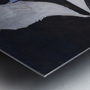 Hilma af Klint - The Swan No. 01 Group IX-SUW  Metal print