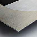 Hilma af Klint - Buddhas Standpoint in the Earthly Life 1920 Metal print