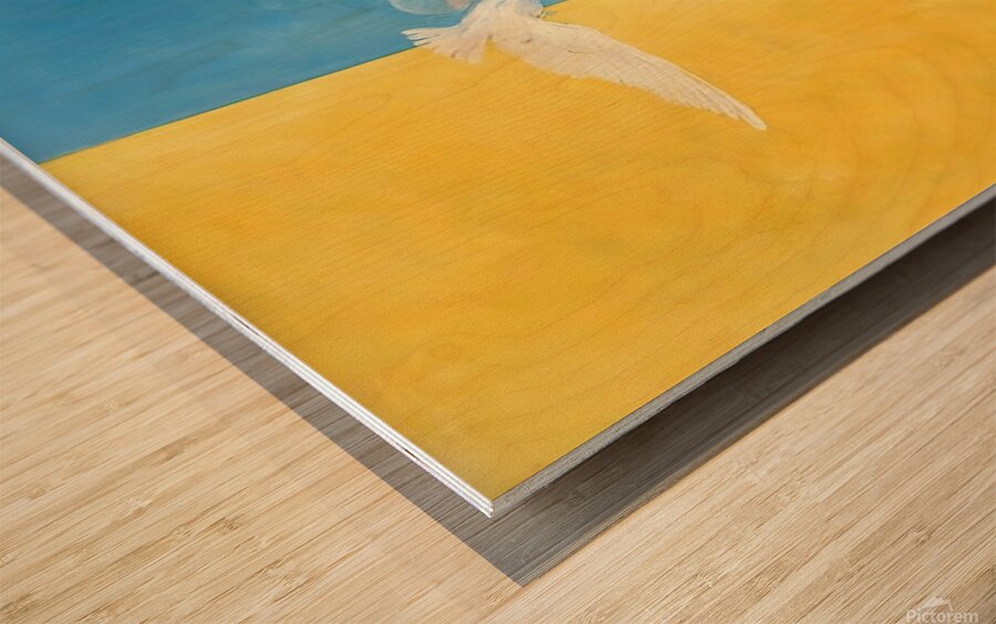 Hilma Af Klint - The Dove No. 04 Group IX-UW No. 28 Wood print