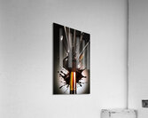 spotter  Acrylic Print