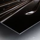 spotter  Metal print