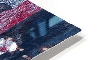  Hide and Seek  HD Metal print