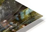 The Picnic HD Metal print