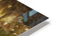 Taking a walk outside HD Metal print