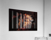 The Dentist Acrylic Print