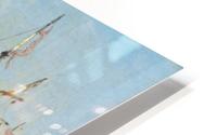 Small port HD Metal print