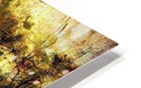 In the Park HD Metal print