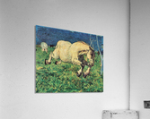 Galloping horse Acrylic Print