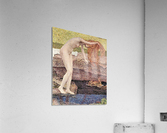 The vanity detail Acrylic Print