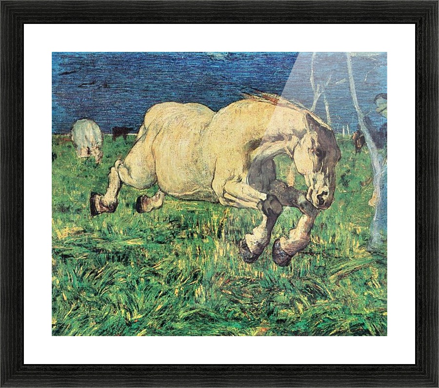 Galloping horse Picture Frame print