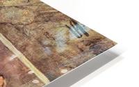 Mushrooms HD Metal print