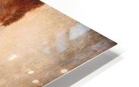 Nude HD Metal print