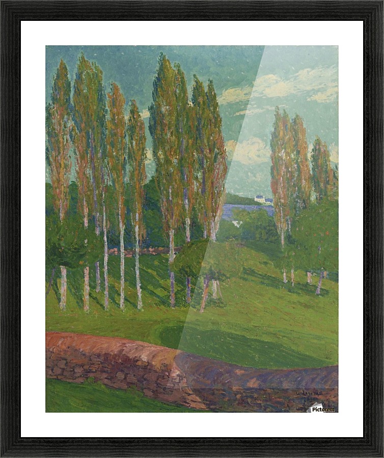 Poplars in Spring Picture Frame print