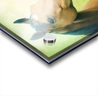 Look Acrylic print