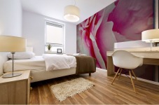 Pink Peony Mural print