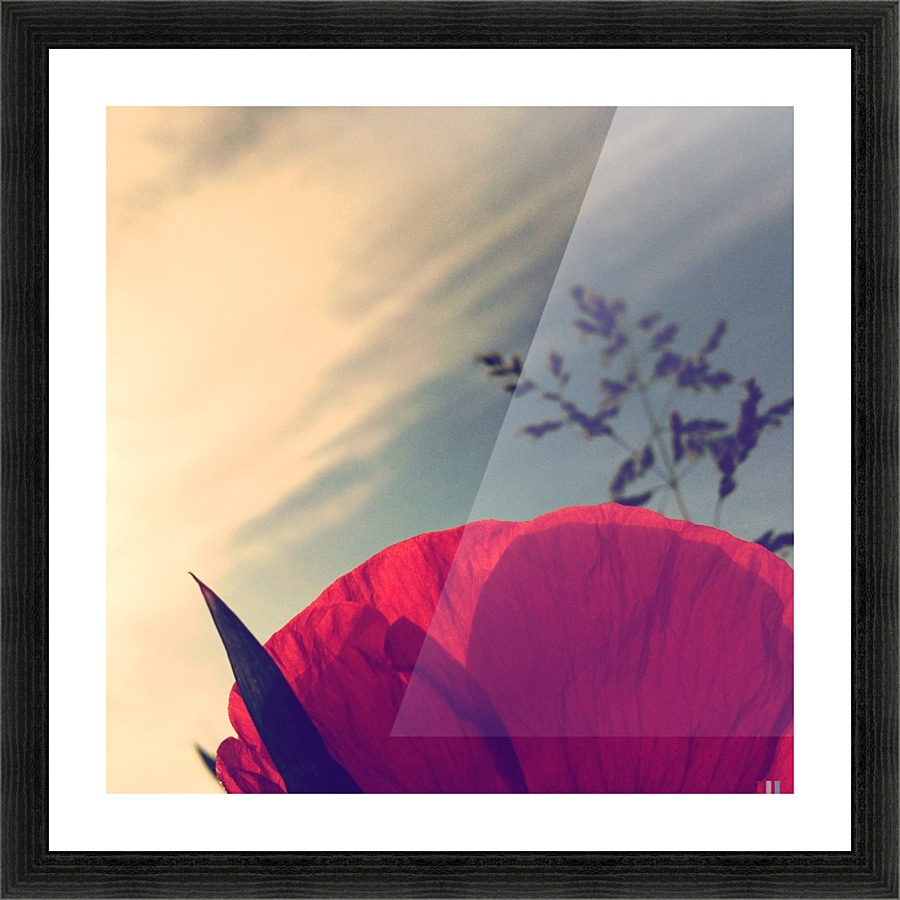 Poppy sky Picture Frame print