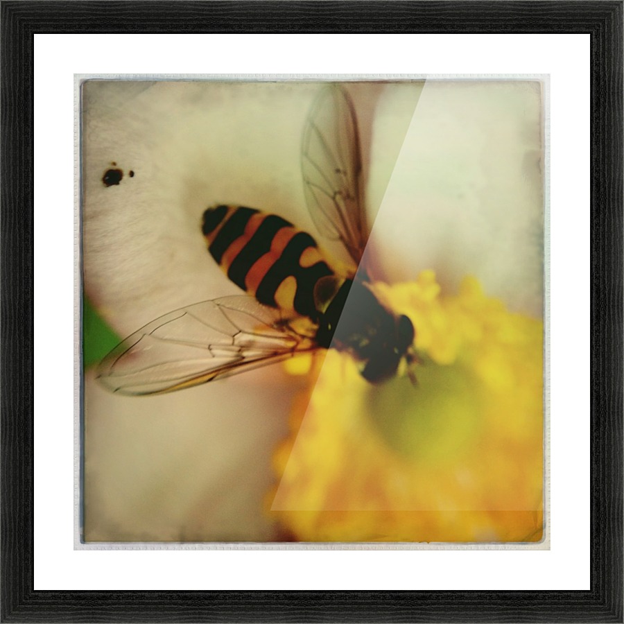 Bee-ing Picture Frame print