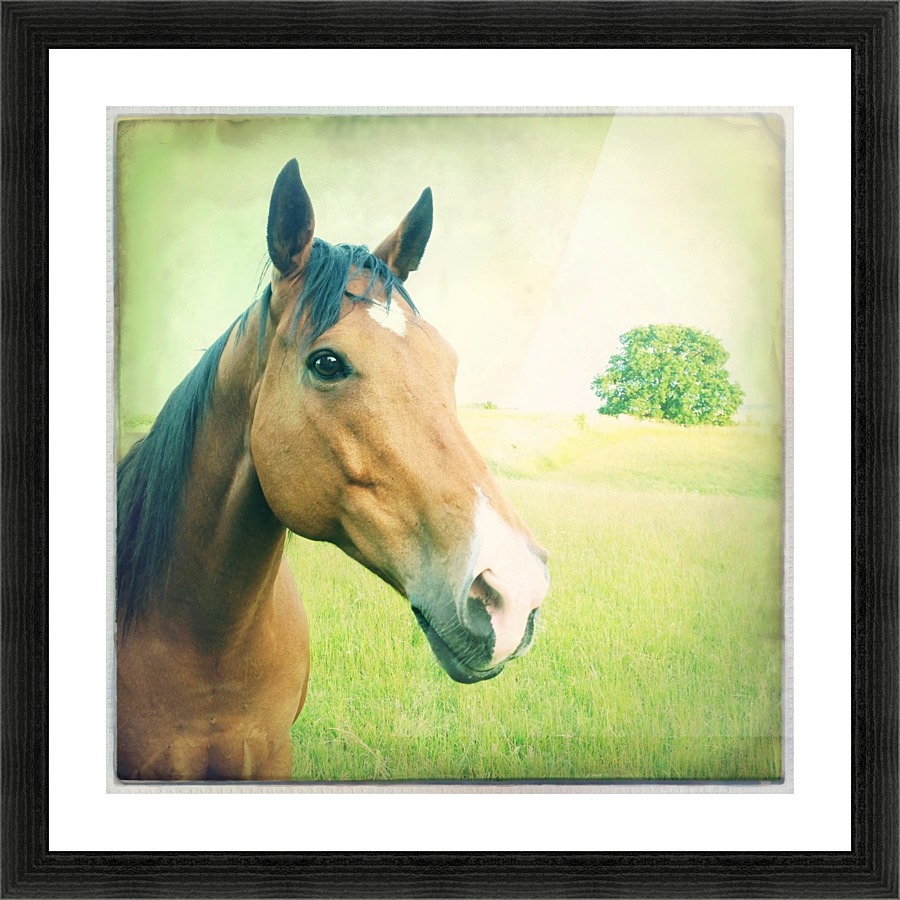 Look Picture Frame print