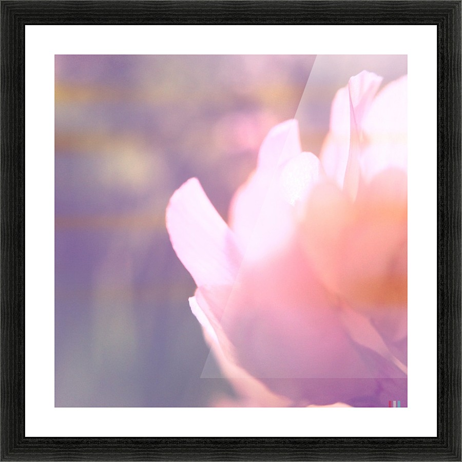 Rödklöver Picture Frame print