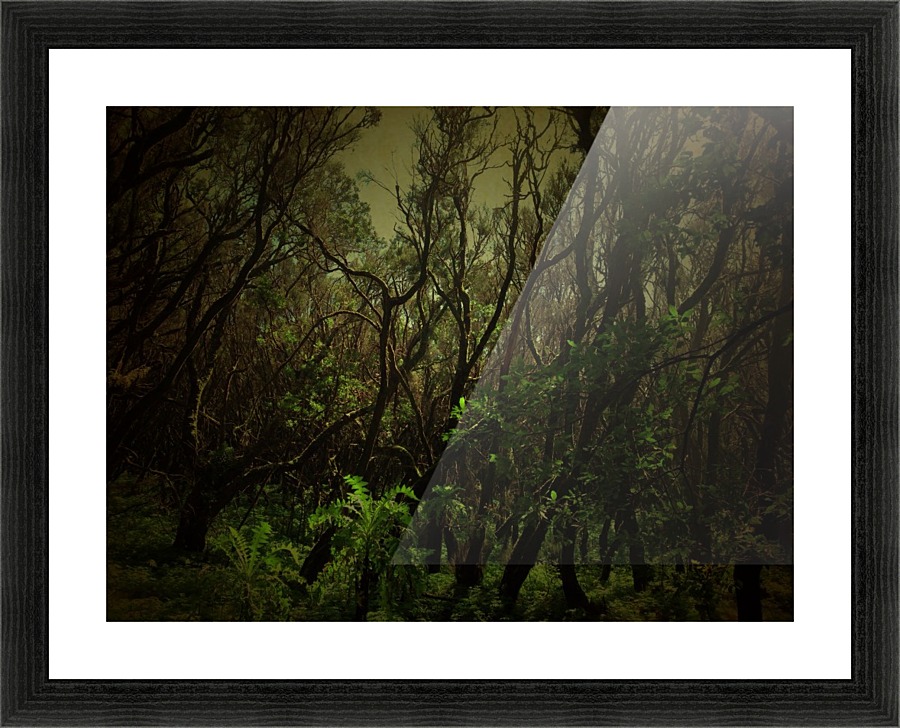 Green Mystery Picture Frame print