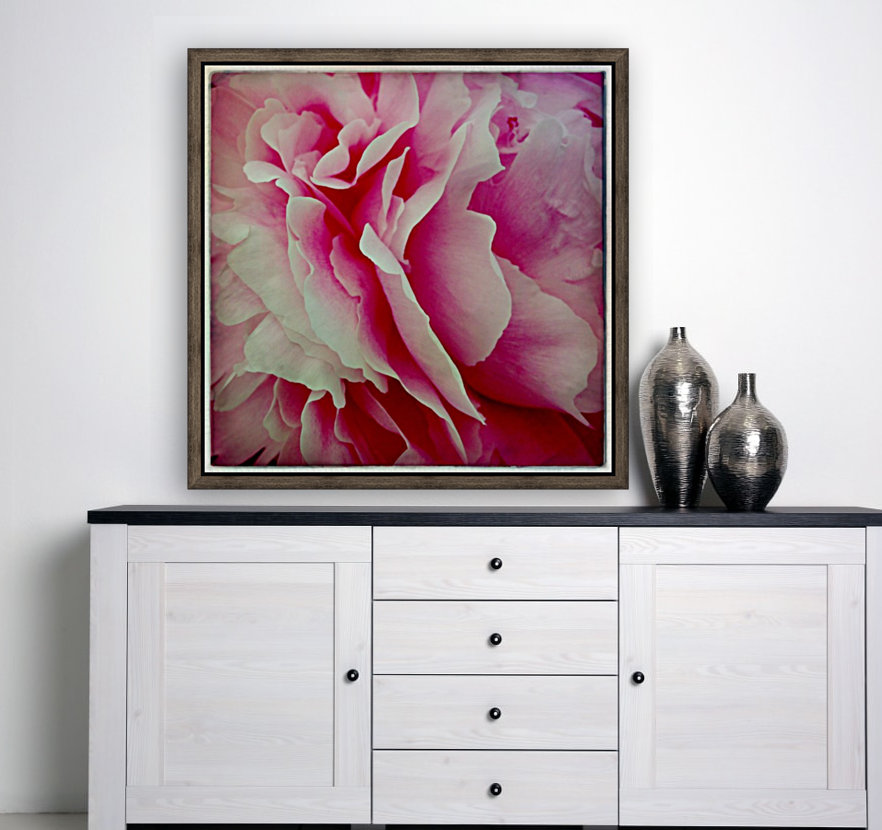 Pink Peony Reproduction