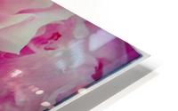 Pink Peony HD Metal print
