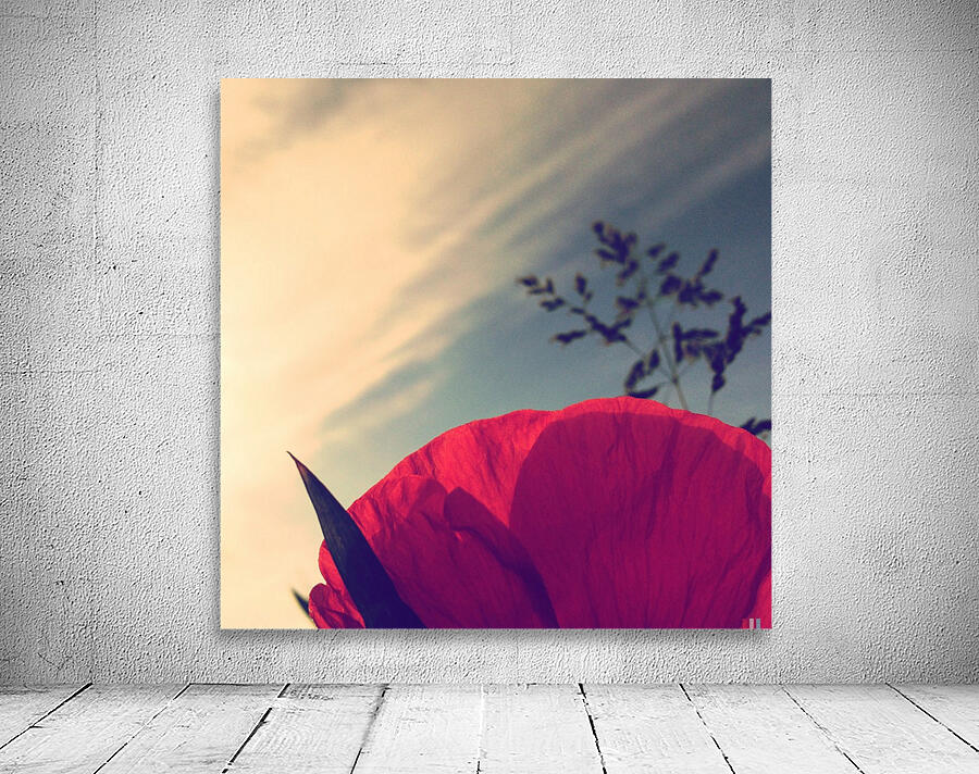 Poppy sky Wall Preview