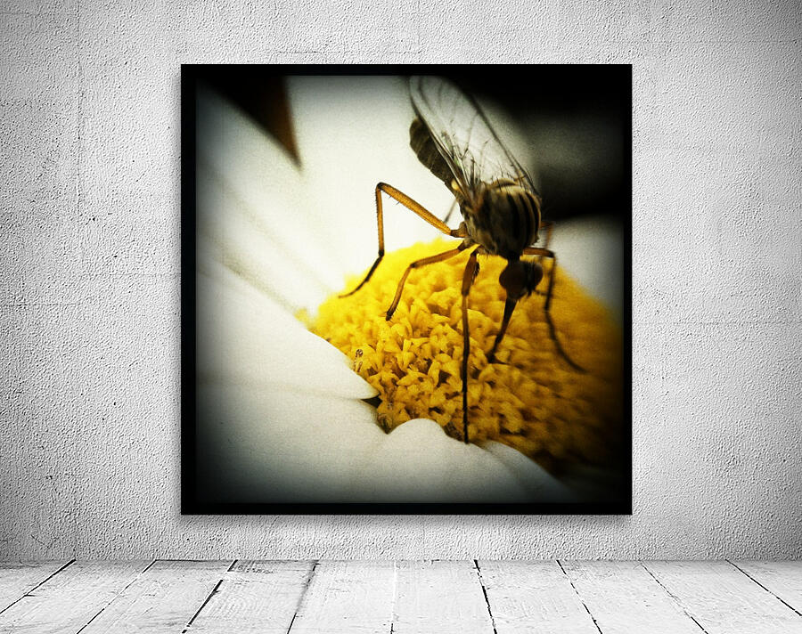 Vegetarian Mosquito Wall Preview