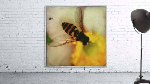 Bee-ing Wall Preview