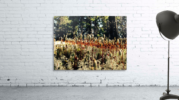 Forest Miniature Wall Preview