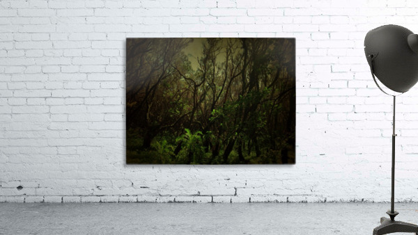 Green Mystery Wall Preview
