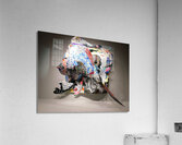  The Pitchpoling          Acrylic Print