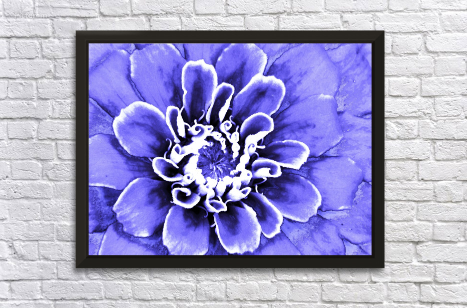モ*ん様 ART JUNKIE King Pacara 紫陽花 color ve Blue zinnia by