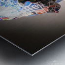  The Pitchpoling          Metal print