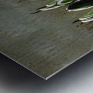 The claws Metal print