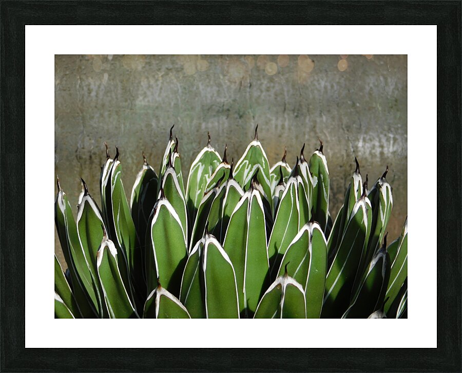 The claws Picture Frame print