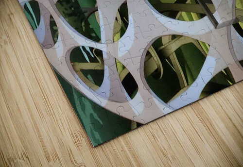 Dynamic Composition Atlas Tracer puzzle