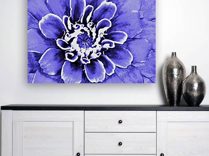 Blue zinnia by Atlas Tracer