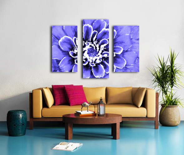 Blue zinnia by Atlas Tracer Wall Art