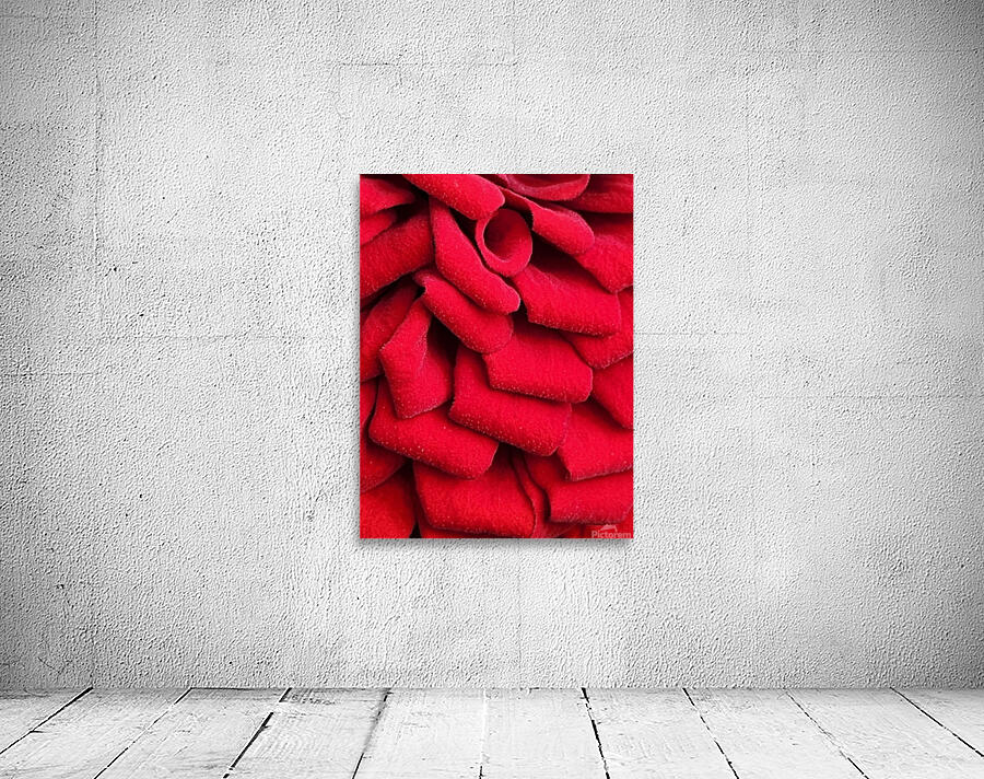 Red Velvet Wall Preview