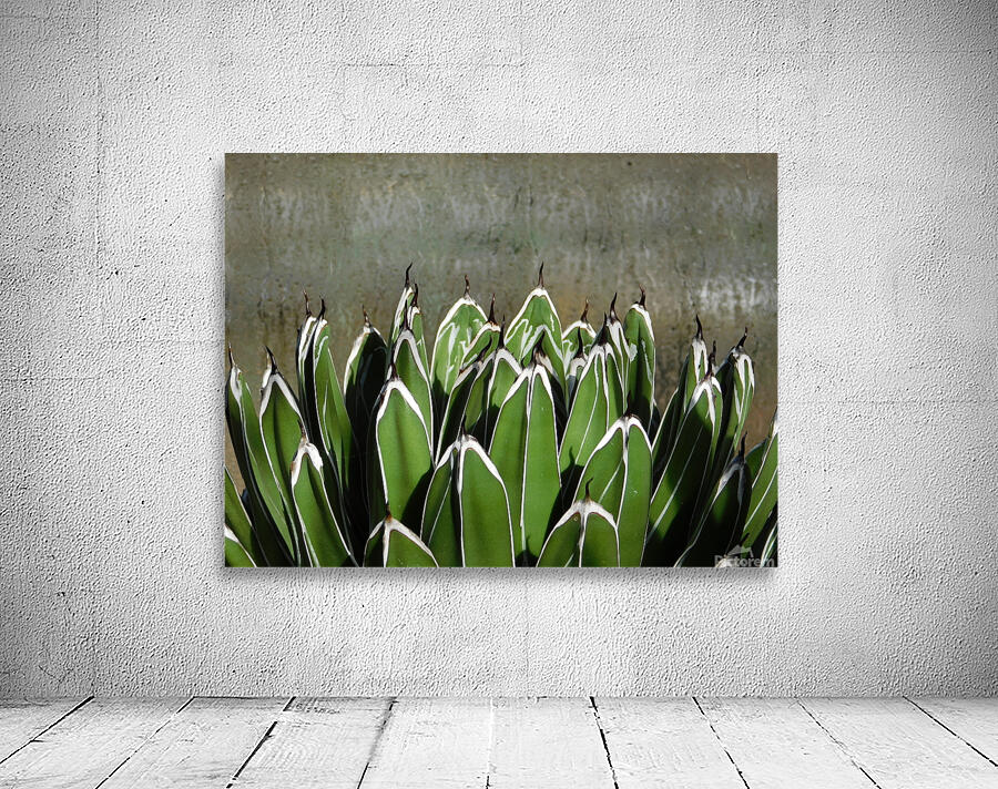 The claws Wall Preview