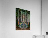 Bubble Reflections 1 Acrylic Print