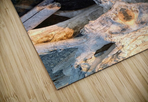 Driftwood Bear Aletha Marcelle puzzle