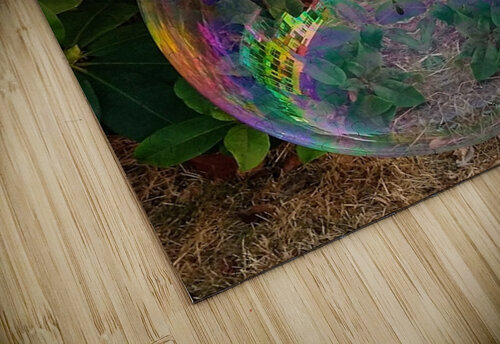 Bubble Reflections 1 Aletha Marcelle puzzle