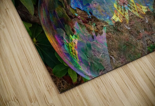 Bubble Reflections 2 Aletha Marcelle puzzle