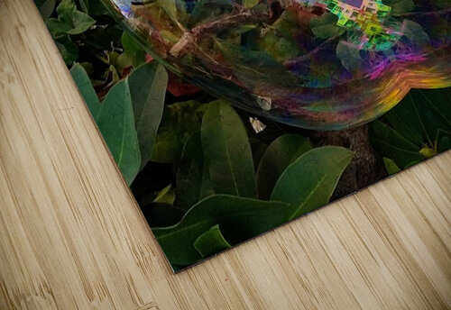 Bubble Reflections 3 Aletha Marcelle puzzle