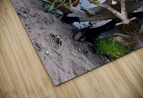 Driftwood All Smiles Aletha Marcelle puzzle