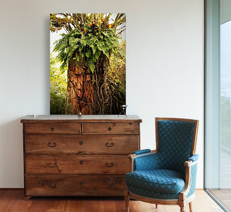 Stump Man Reproduction