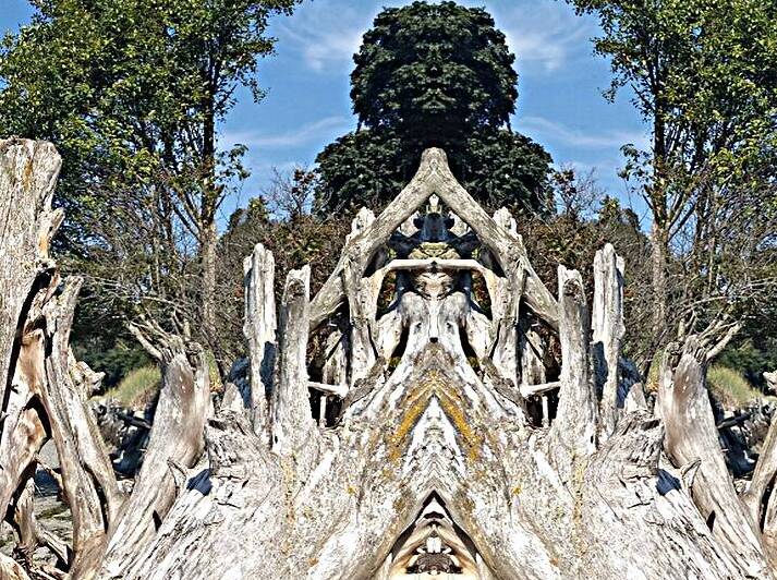 Driftwood Guardian Totem by Aletha Marcelle
