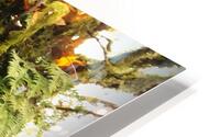 Stump Man HD Metal print